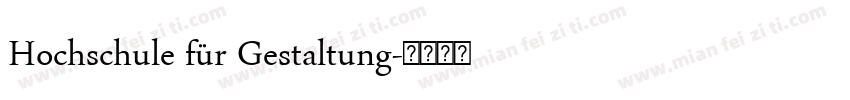 Hochschule für Gestaltung字体转换